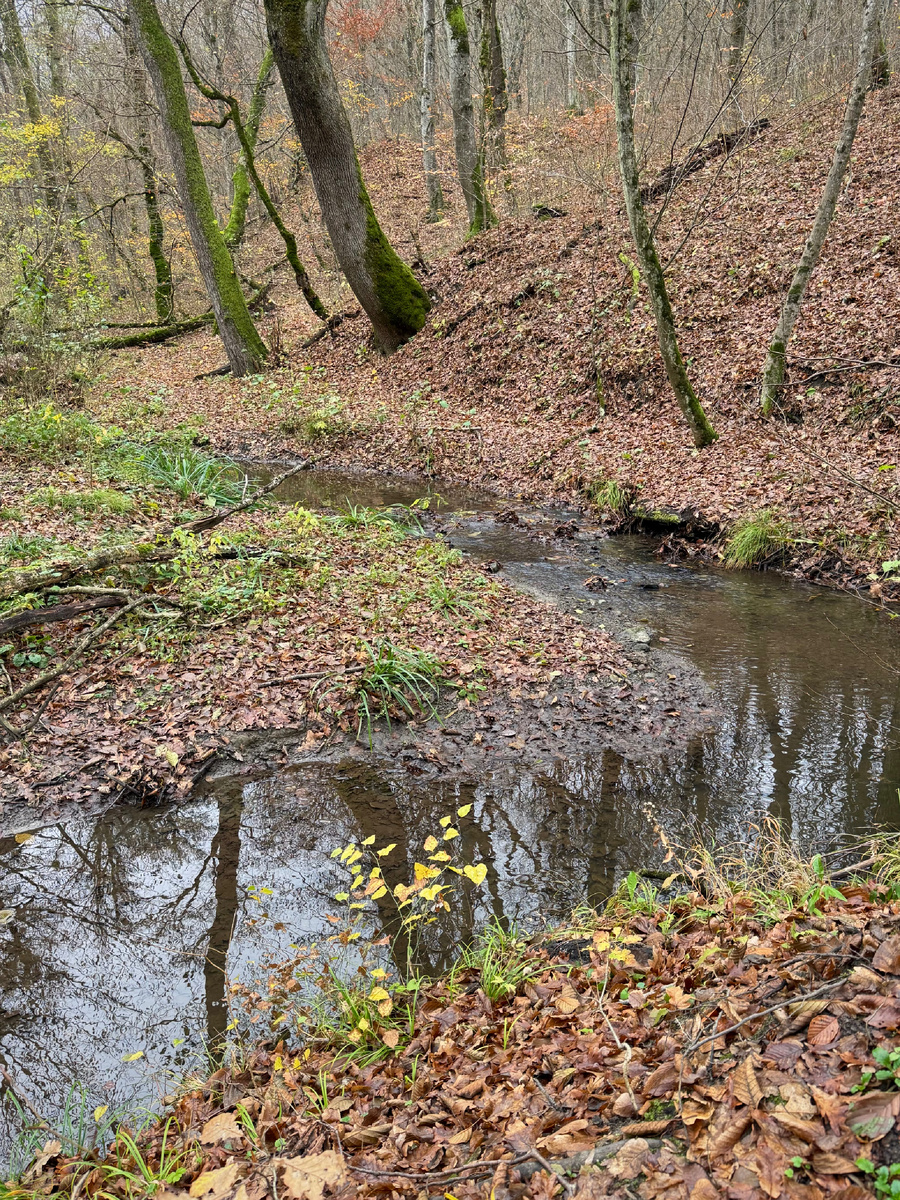 Ерик Мальцева 