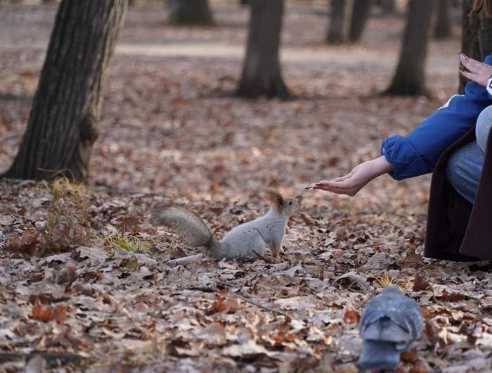    ФОТО: самарское отделение партии "Единая Россия"
