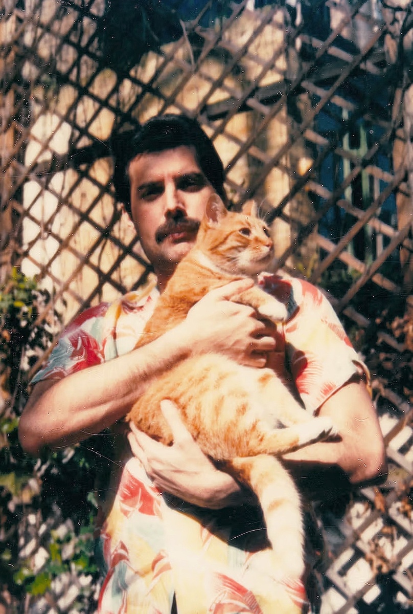 Фредди Меркьюри