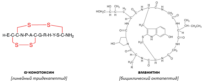 пептидные токсины