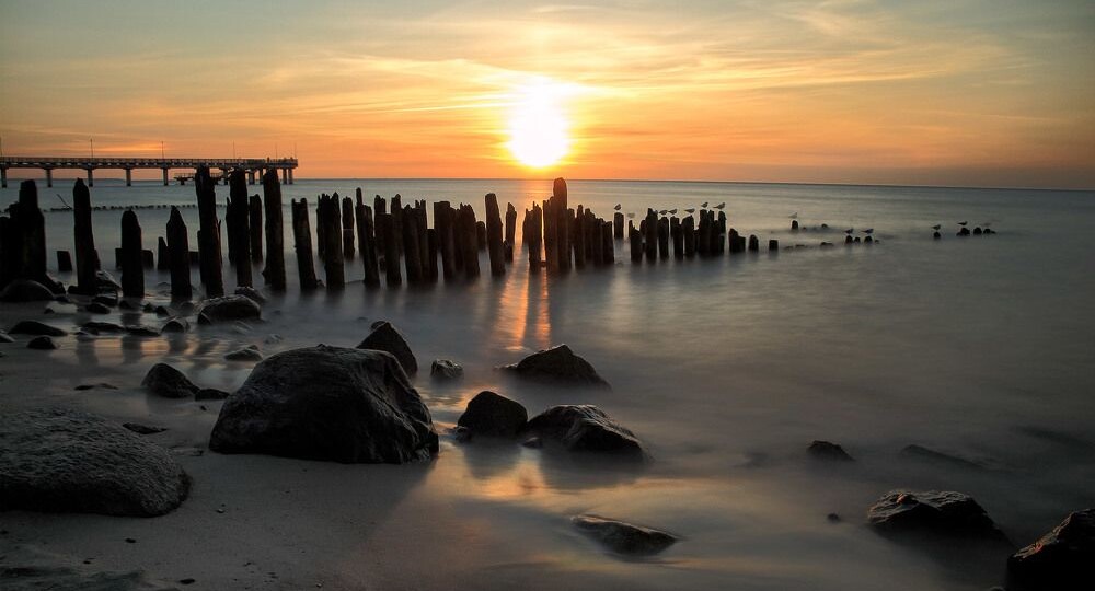 Зеленоградск: где море шепчет секреты, а кошки правят бал