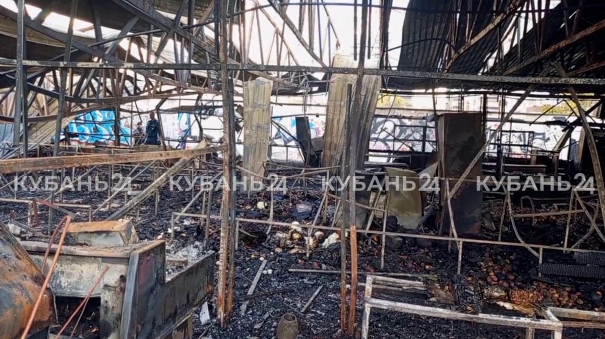    Скриншот видео «Кубань 24»