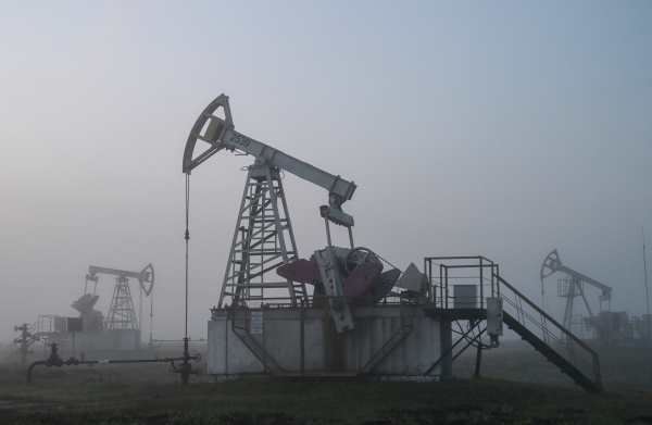 Фото: РИА Новости/Максим Богодвид
