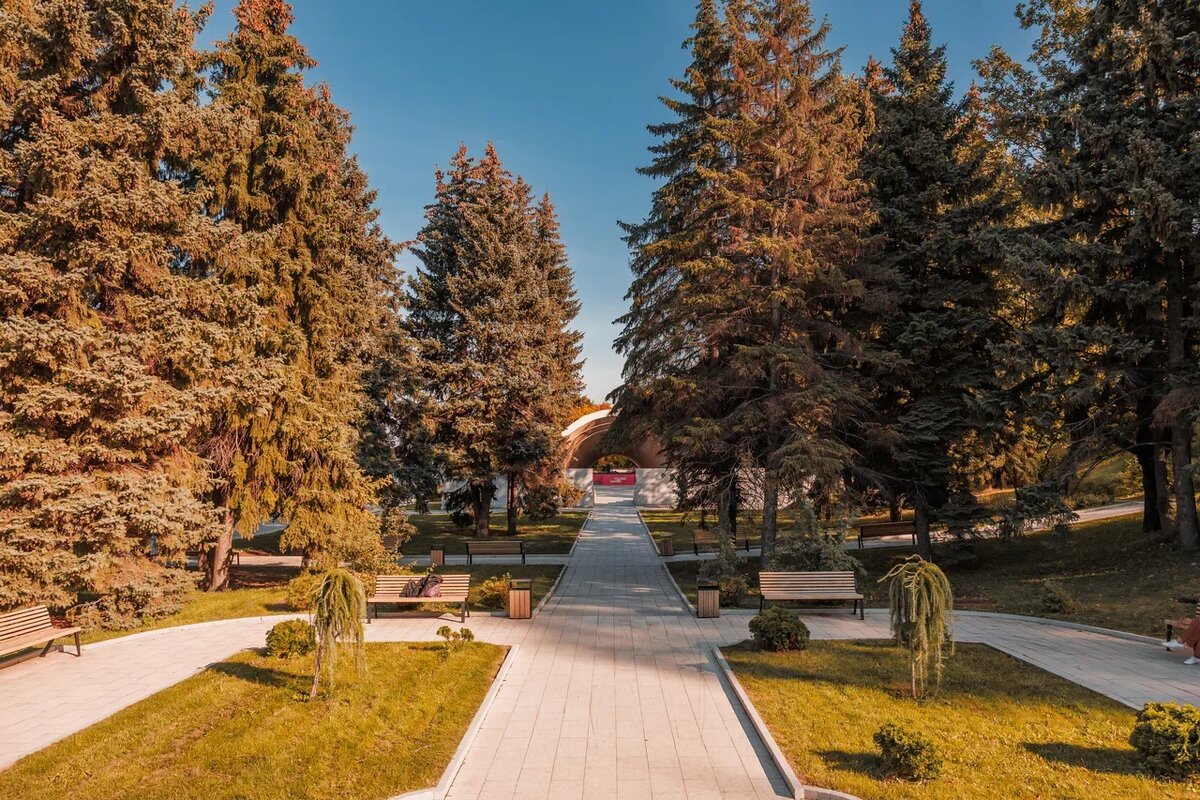 Аллея к сцене «Ракушка» в Александровском саду. Фото: Никита Духник