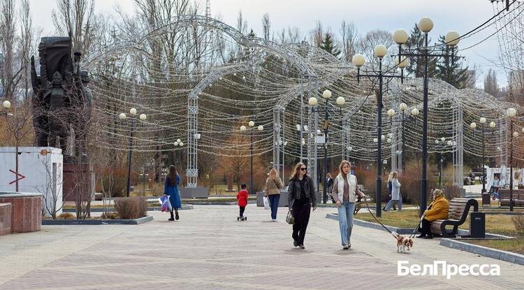 Фото: Елена Журавлёва (архив)