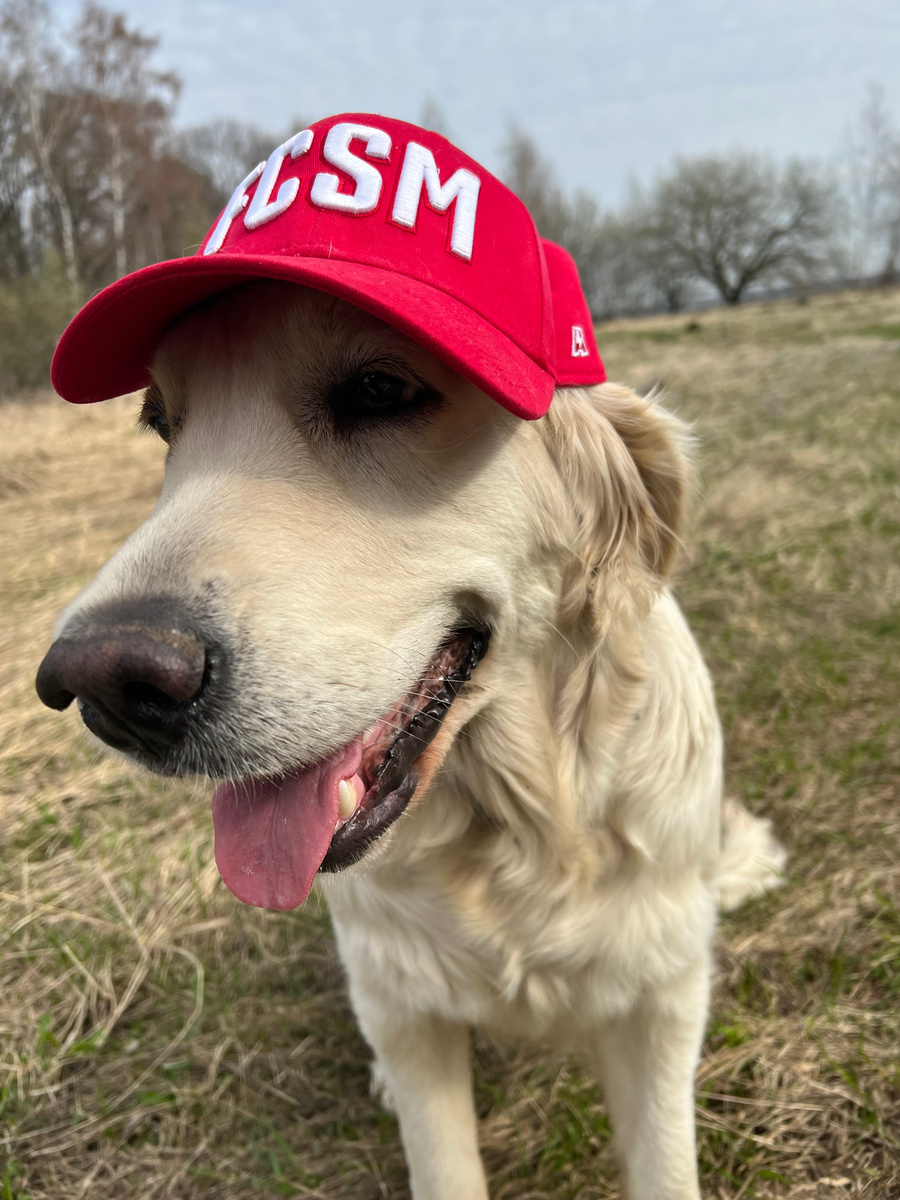 Моня лучший друг