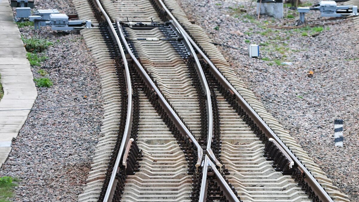    Фото: Belkin Alexey/globallookpress.com