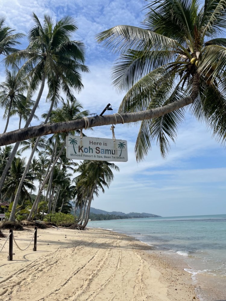 Остров Самуи, январь, 2023