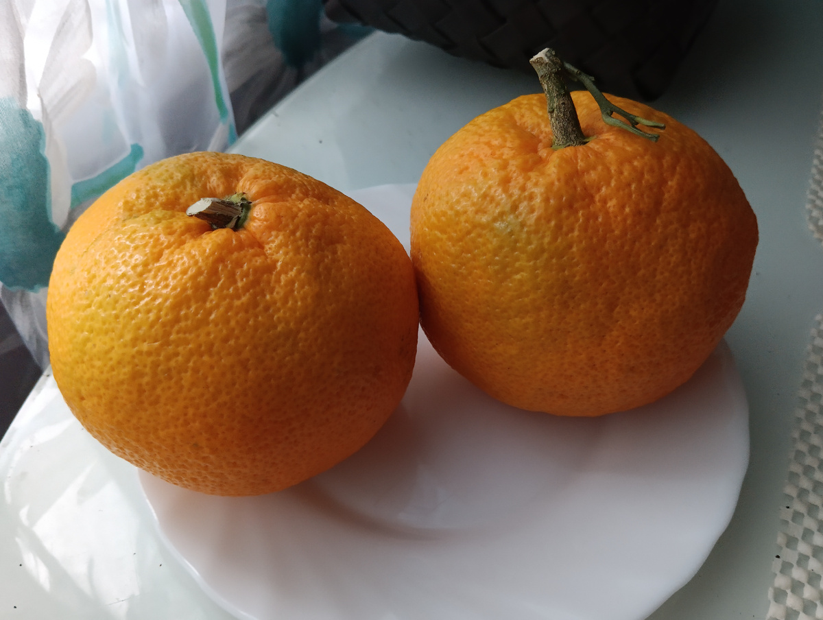 Китайские мандарины