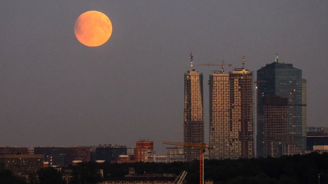    Фото: Shatokhina Natalia/Globallookpress.