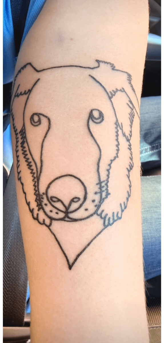 Источник: redd.it