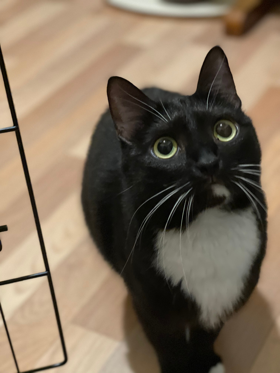 Случайно не вы мой Человек с большой буквы?