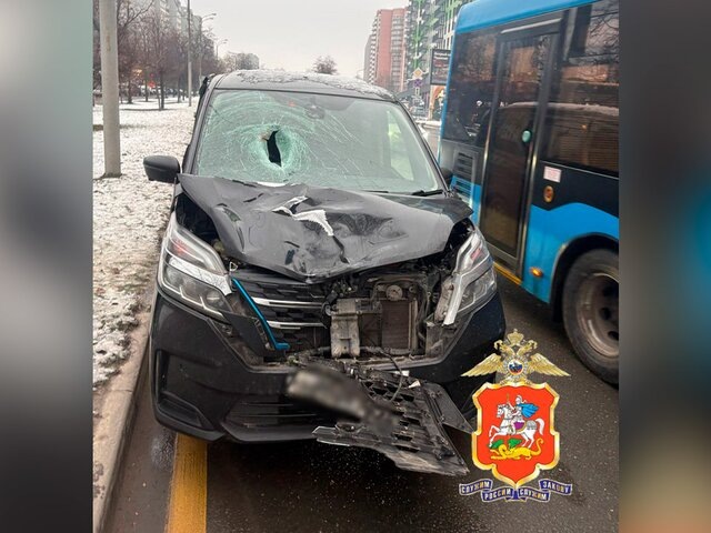    Фото: телеграм-канал "Подмосковная полиция"