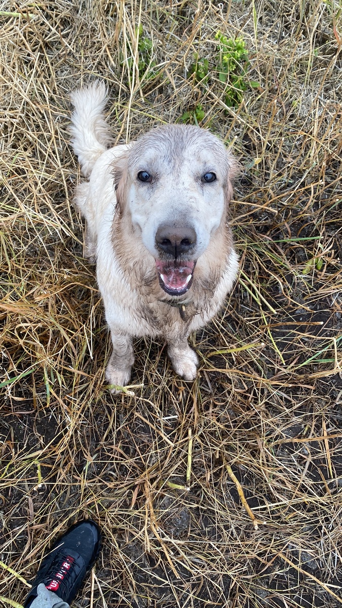 Почему осень — лучшее время для иг