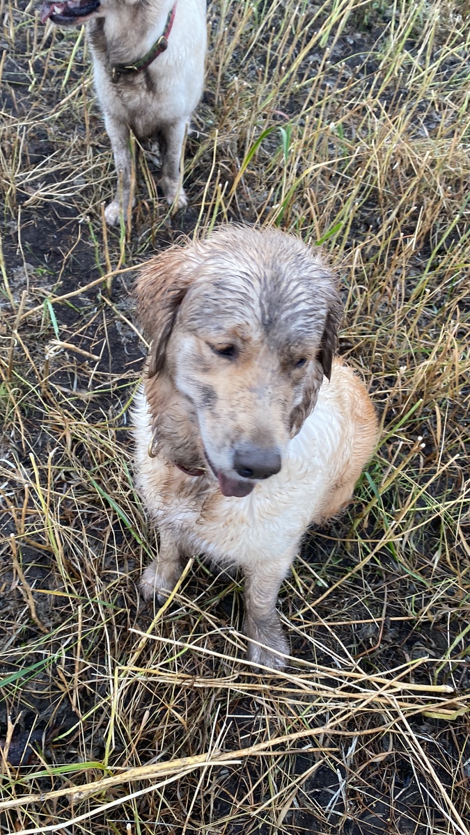 Хорошо погуляли