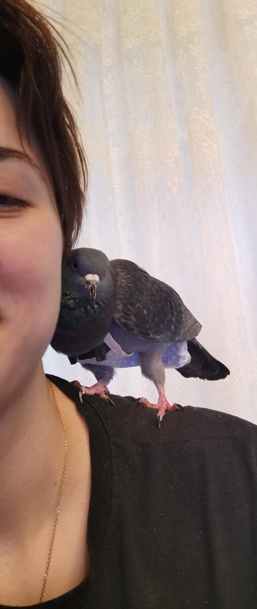 Я все вижу...