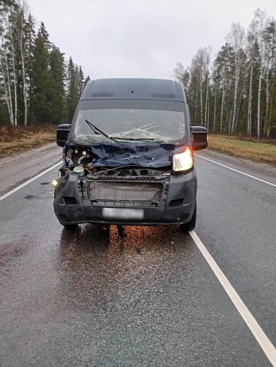    Водитель автомобиля не пострадал. Фото: УМВД Владимирской области
