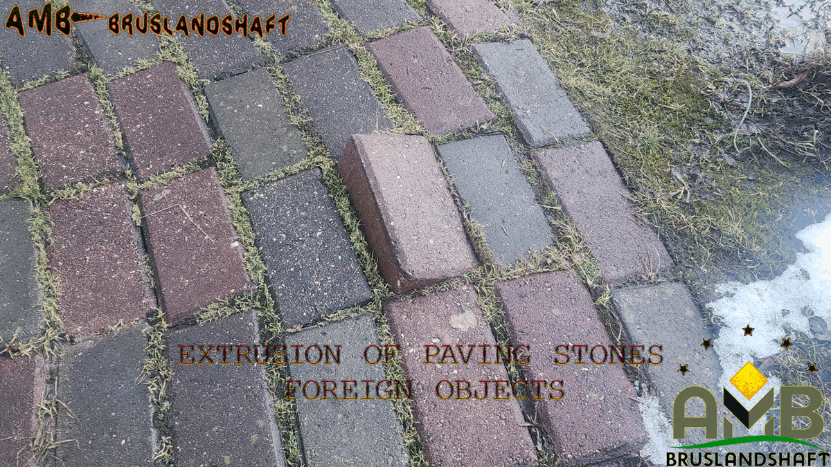 выдавило брусчатку арматурой за счет пучения грунтом.