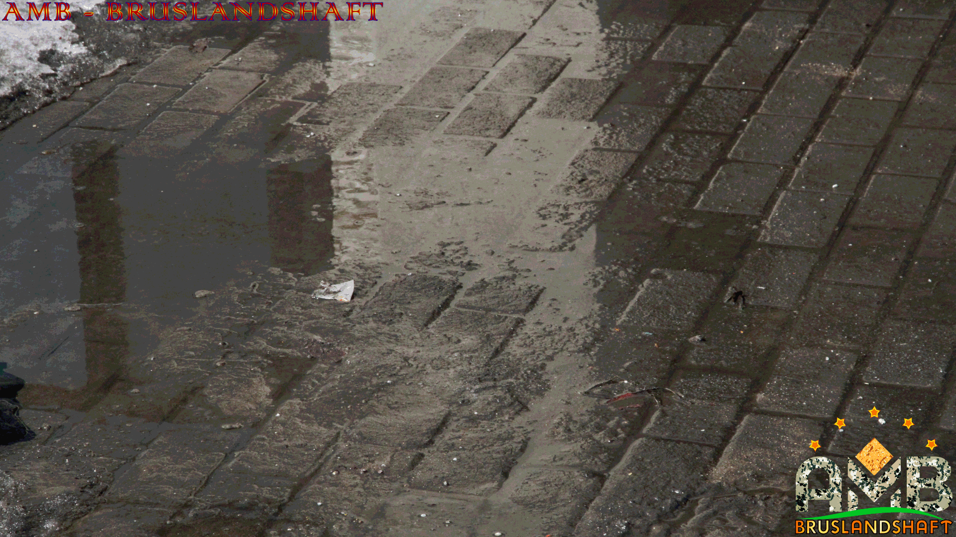 Залежи воды на брусчатке после оттаивания-water deposits on paving stones after thawing