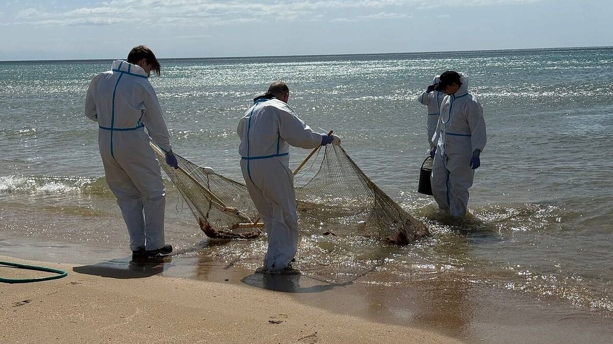    Фото: телеканал «Краснодар»