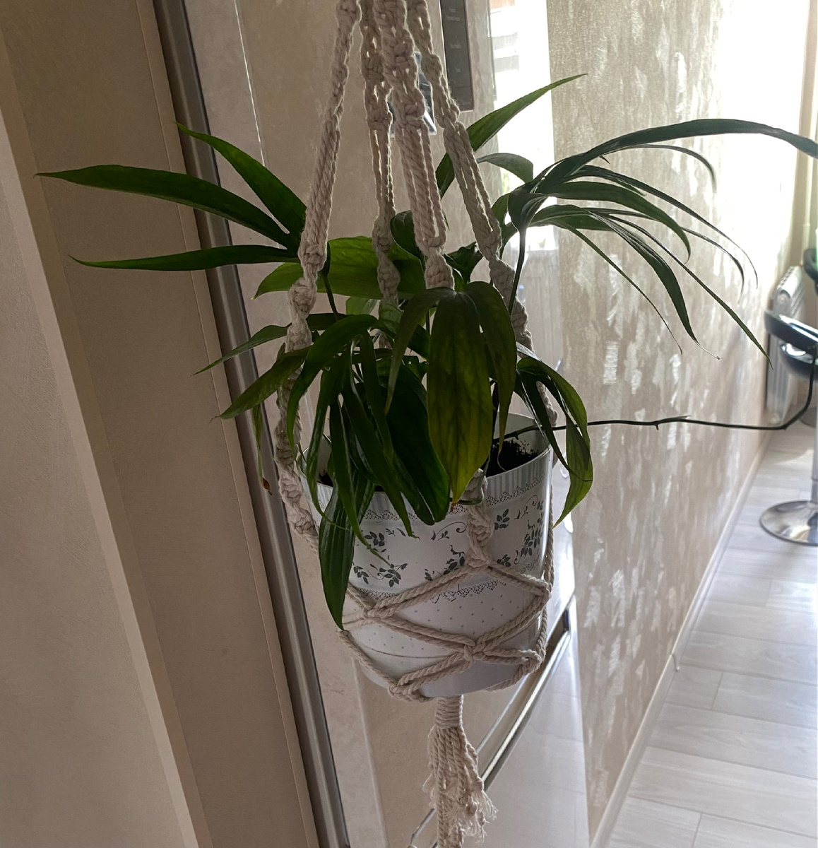 Хобби во всей красе: посади, сплети подвес, найди куда пристроить))