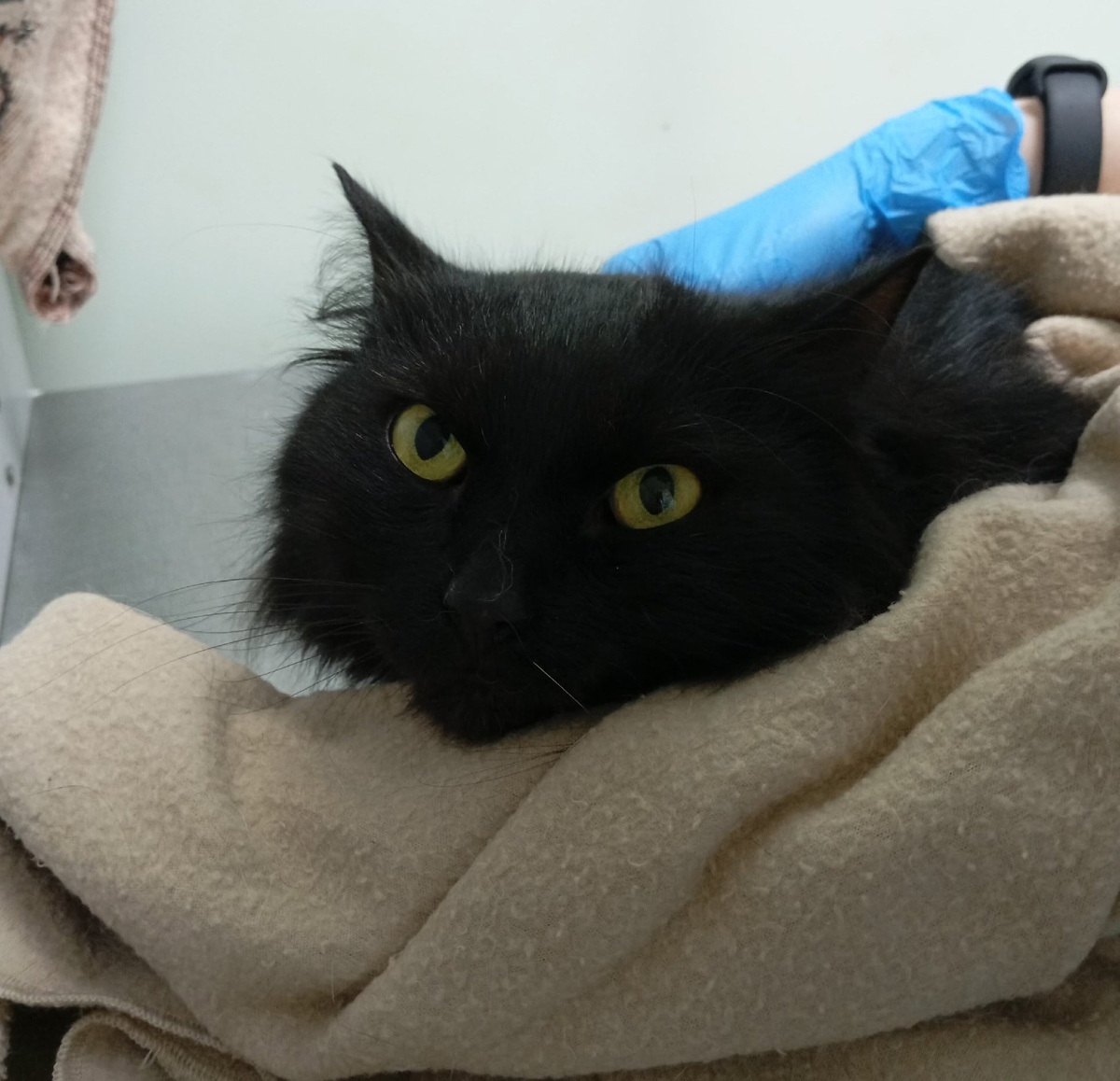 Боец по жизни самый настоящий Боец.