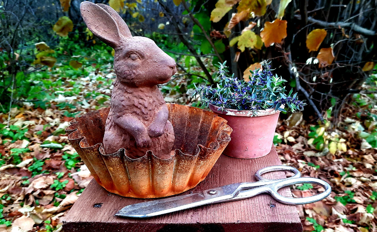 Фото автора.