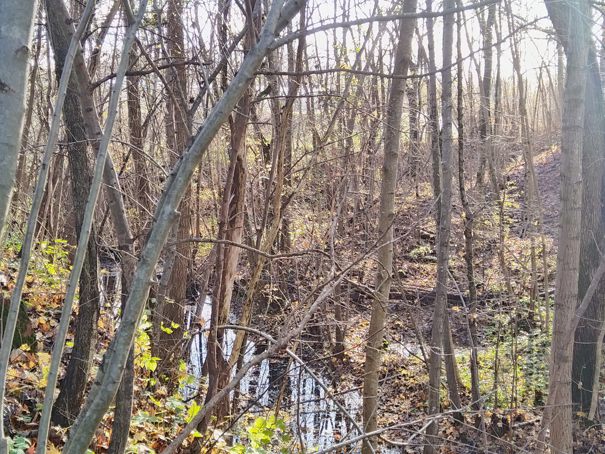 Ров. Фото из личного архива.