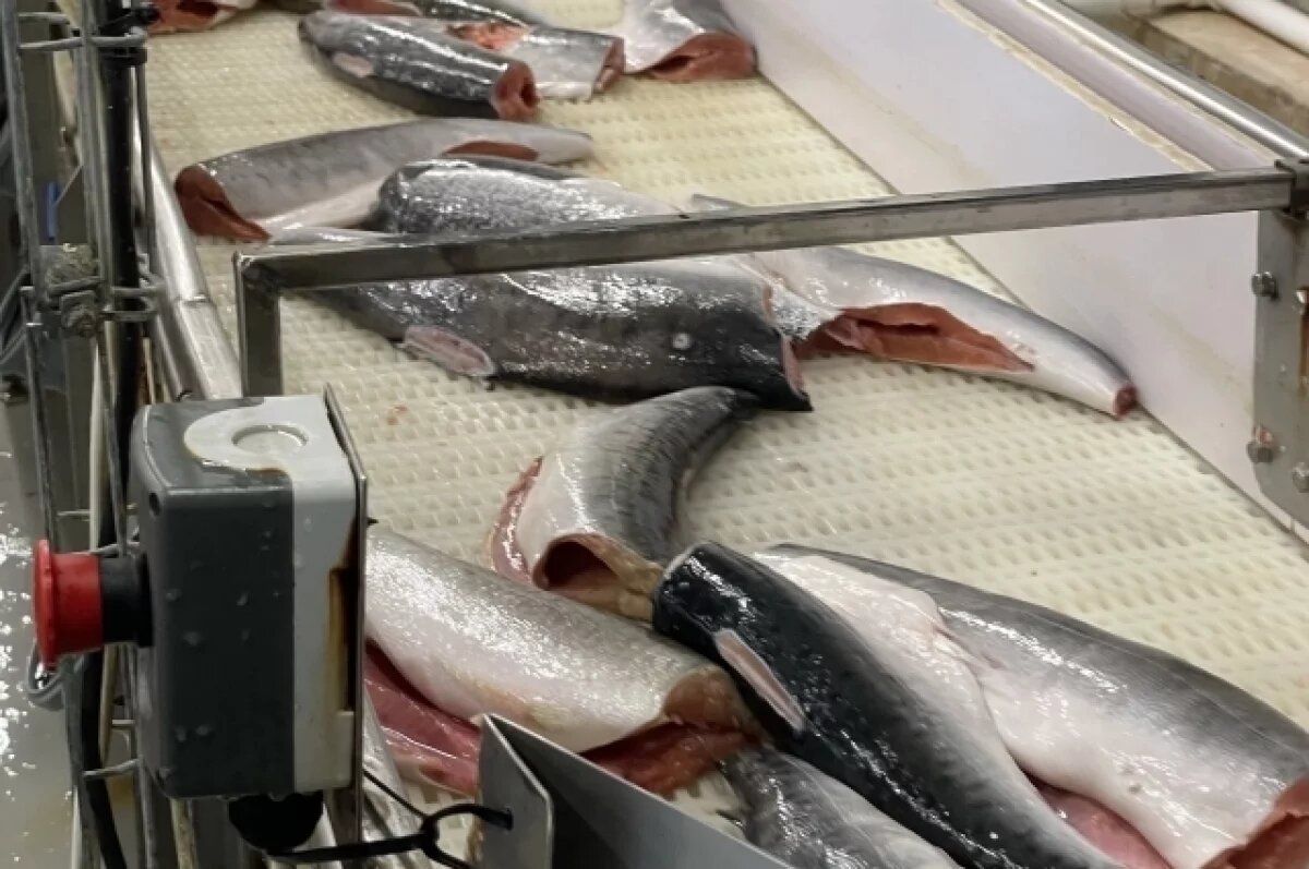    В России хотят увеличить закупки рыбной продукции для школ и больниц