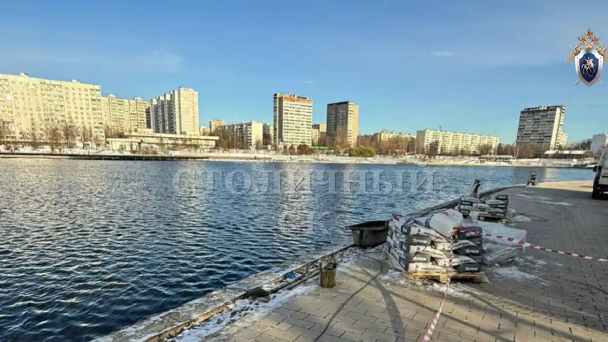    Женщина расчленила сына и выбросила голову в Гольяновский пруд в Москве. © Следственный комитет РФ