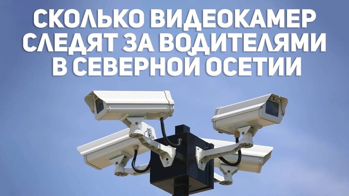    Фото: открытый источник