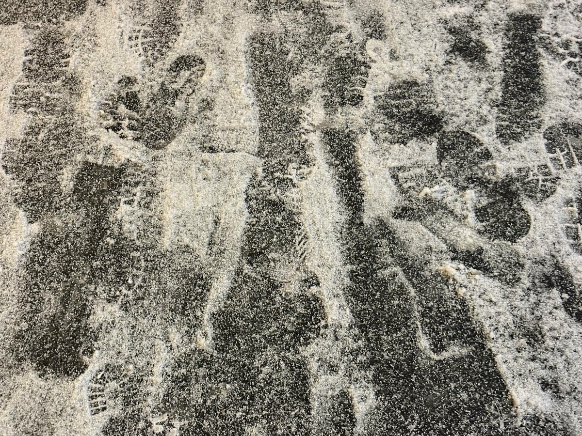 Фото: Neva.Today