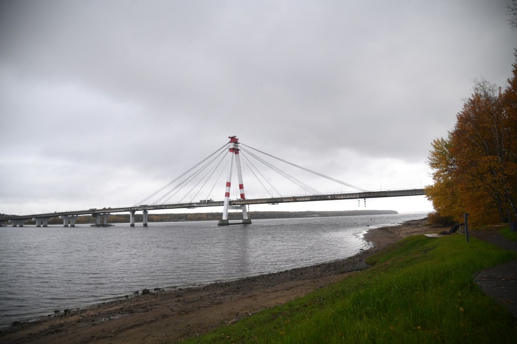 Сама по себе вода в Шексне считается малоцветной (водой малой цветности), но «большое присутствие» гуминовых кислот (это сложная смесь природных органических соединений, образующихся при разложении отмерших растений) придает воде коричневый оттенок, и в итоге цветность повышена. Фото: Анастасия Ташева
