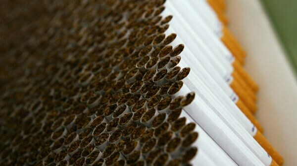    © Sputnik / Руслан Кривобок