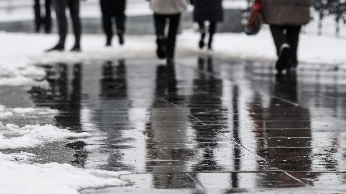    Фото: Ilya Moskovets/globallookpress.com