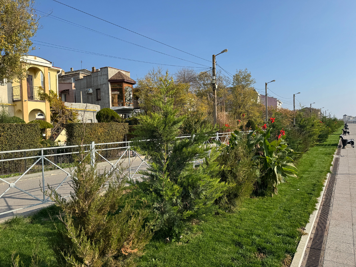 Фото автора