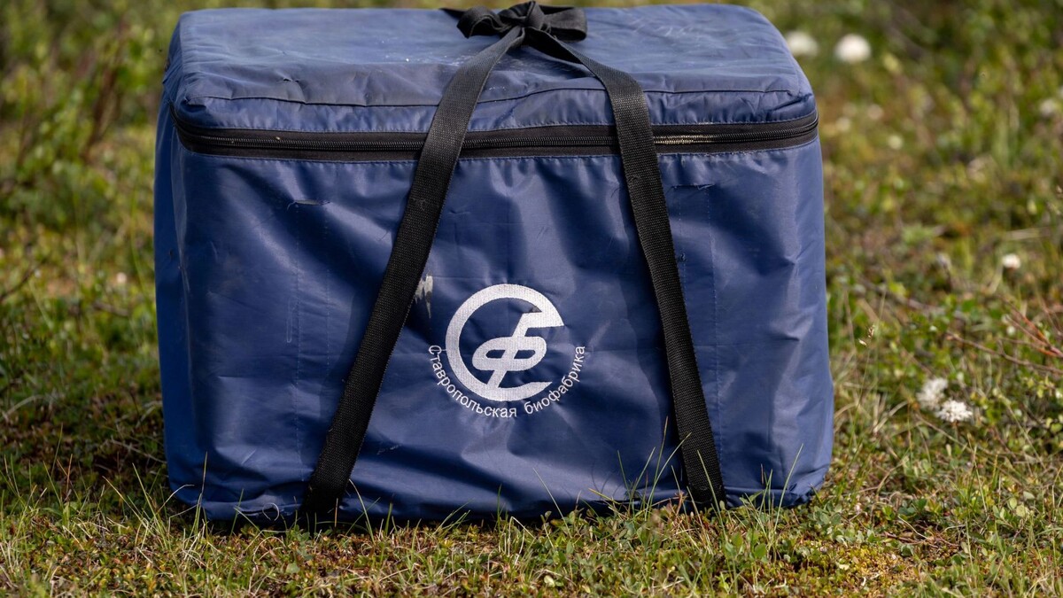    Фото: Андрей Ткачев / «Ямал-Медиа»