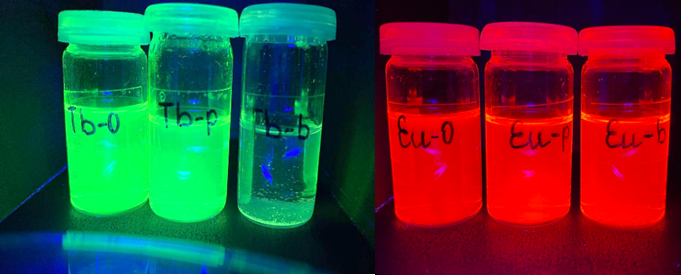 Фотолюминесценция полученных комплексов тербия и европия при облучении УФ-светом