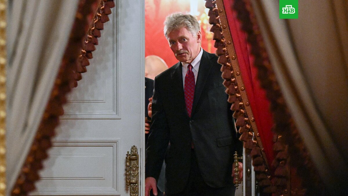    Фото: РИА Новости © 2025, Кристина Кормилицына