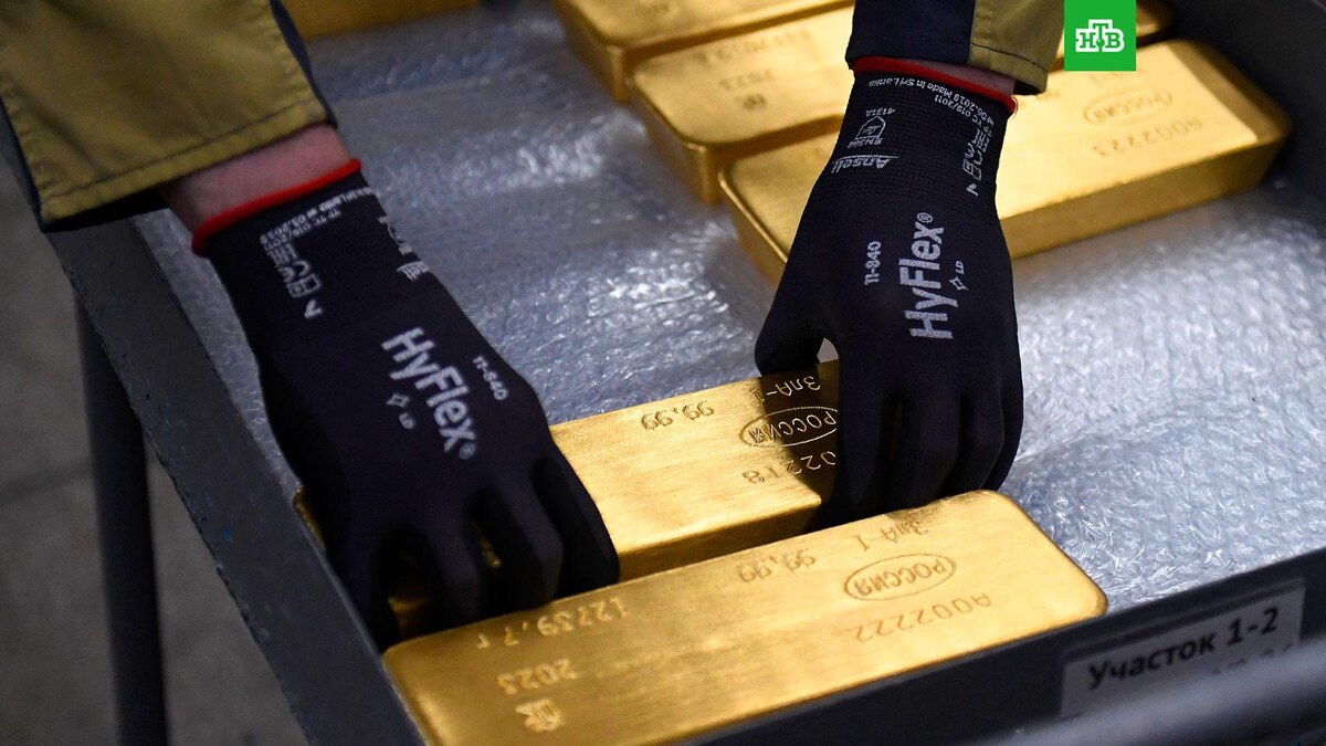    Фото: РИА Новости © 2025, Илья Наймушин