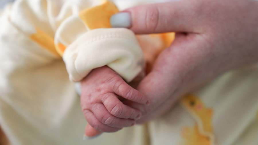 Фото: ИЗВЕСТИЯ/Анна Селина