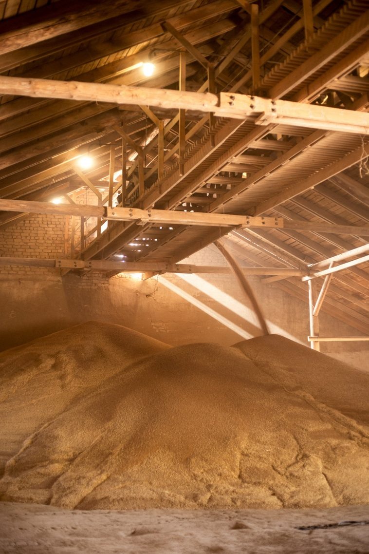 Фото: ТД "Зерно Заволжья"