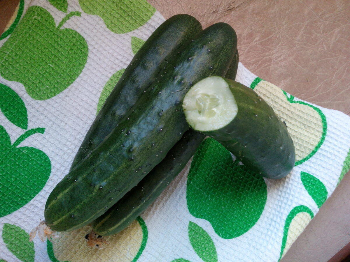 Апрельский» F1 — ранний старт огуречного сезона. Этот партенокарпический гибрид (не требует опыления) открывает огуречный сезон уже в начале–середине июня. 