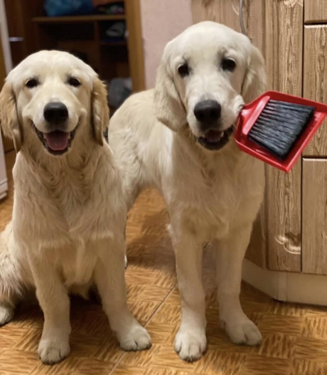 Оля и Моня главные помощники по хозяйству