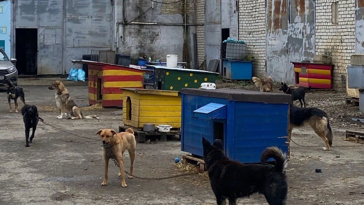     Источник: newstracker.ru