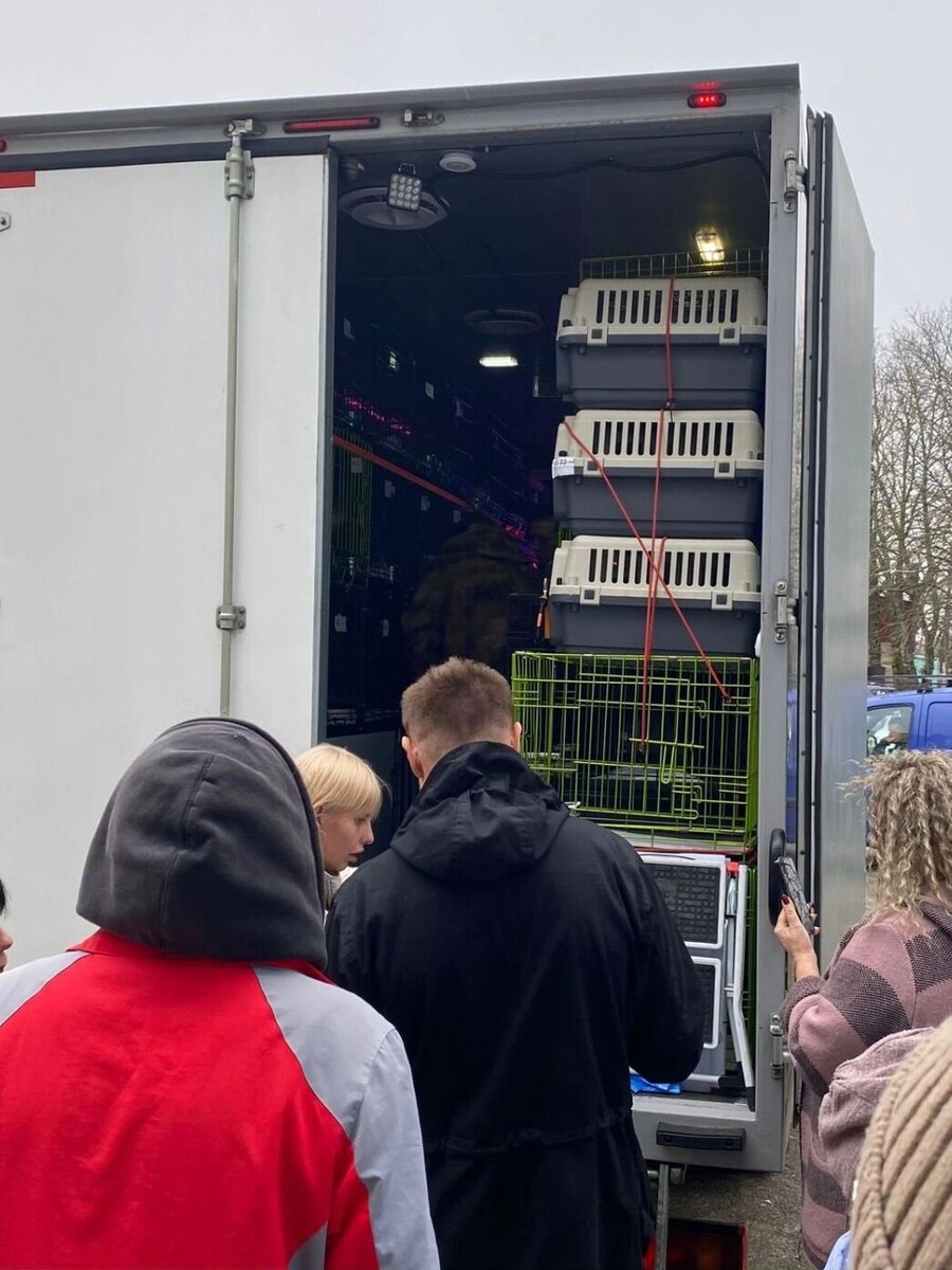     Источник: newstracker.ru