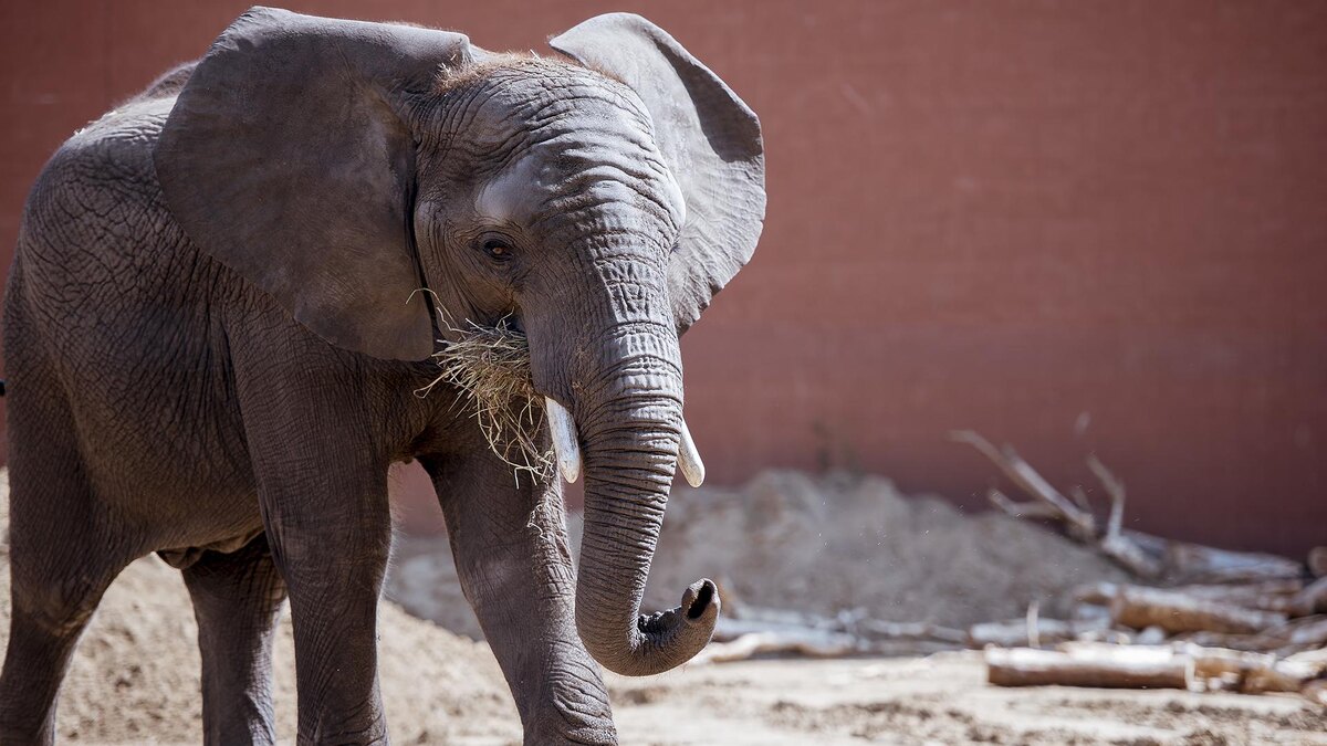    Фото: freepik.com/wirestock