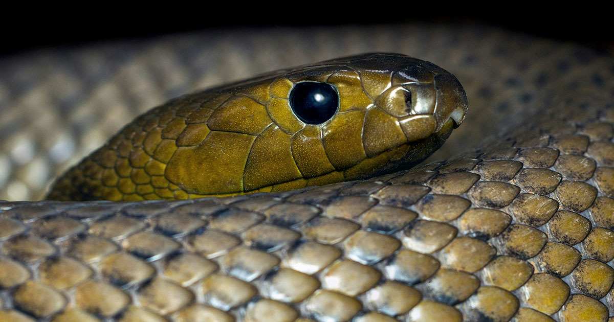 David Clode / Unsplash