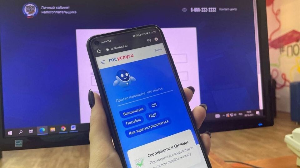    Госуслуги. Смартфон. Источник: Виталий Барабаш