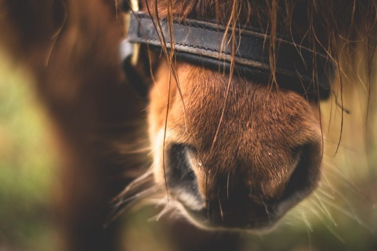    Фото: PIxabay.com Илья Федоров